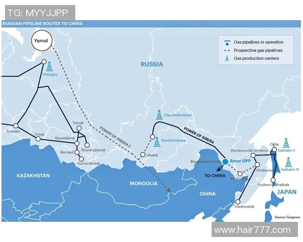 沃伦特的崛起与未来发展：探索其在全球市场中的战略布局与影响力