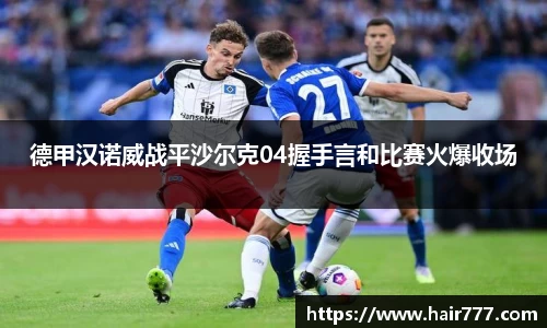德甲汉诺威战平沙尔克04握手言和比赛火爆收场